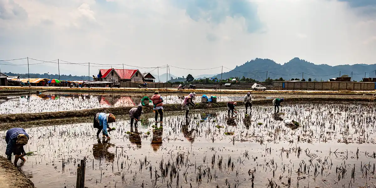 Ziro Valley.